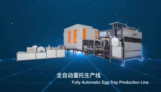 Machine automatique avec fonction de séchage, plateau à œufs, moulage de prix, boîte à pulpe, haute qualité